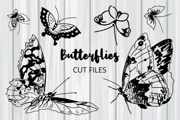 Beautiful Black White Butterflies: A Designer’s Review for Branding