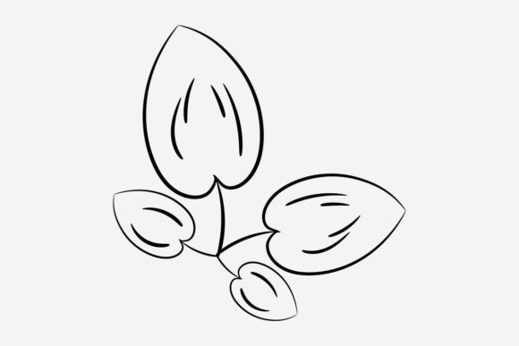 Using Botanical Line Art for Small Business Graphics & Print Templates